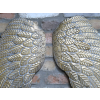 Angel Wings