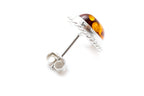 Amber Quintessence Stud Earrings