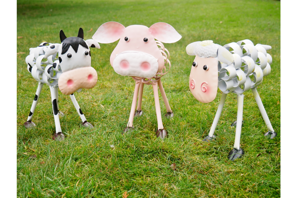 Sheep