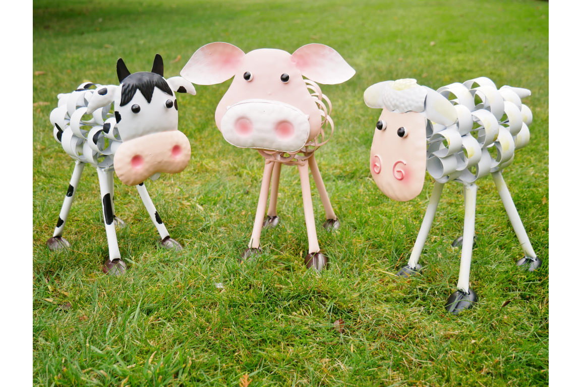 Sheep
