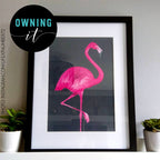 Flamingo Print