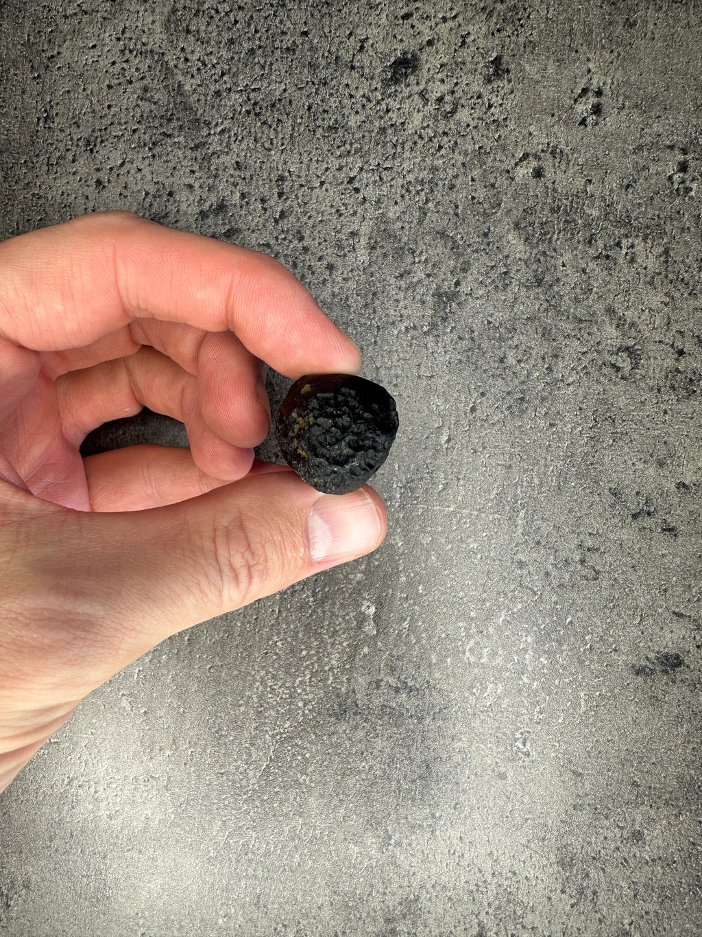 Tektite - Specimen