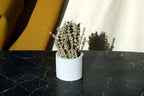 CONCRETE CYLINDER TEALIGHT HOLDER, CONCRETE CYLINDER POT Default Title