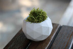 CONCRETE DIAGONAL POT Default Title