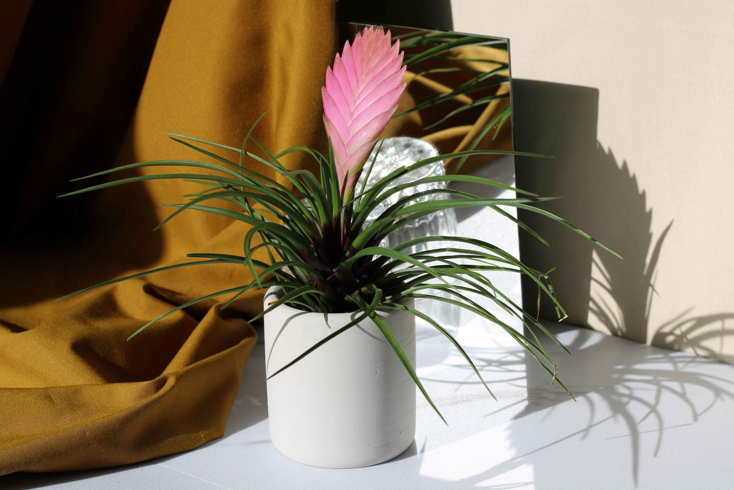 CONCRETE TOOTHBRUSH HOLDER