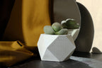 CONCRETE POLYGONAL POT Default Title