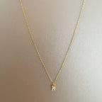 Emily Luxe Sterling Silver Plated Necklace