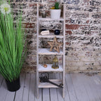 Solwa Wooden Decorative Ladder