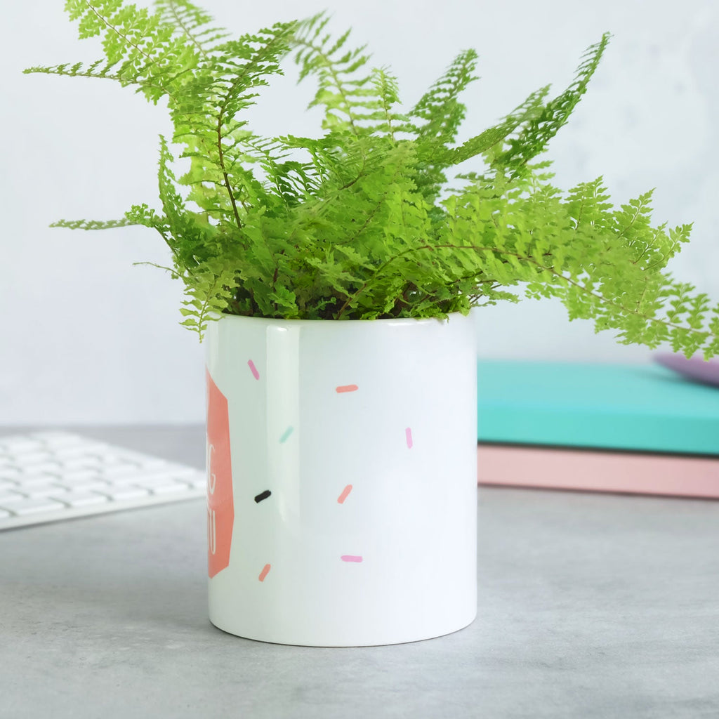 I'm So Rooting For You Plant Pot