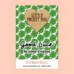 Pocket Hug – Good Luck in Your Exams | Thoughtful Gift for Students | Motivational Token of Support for Exam Season