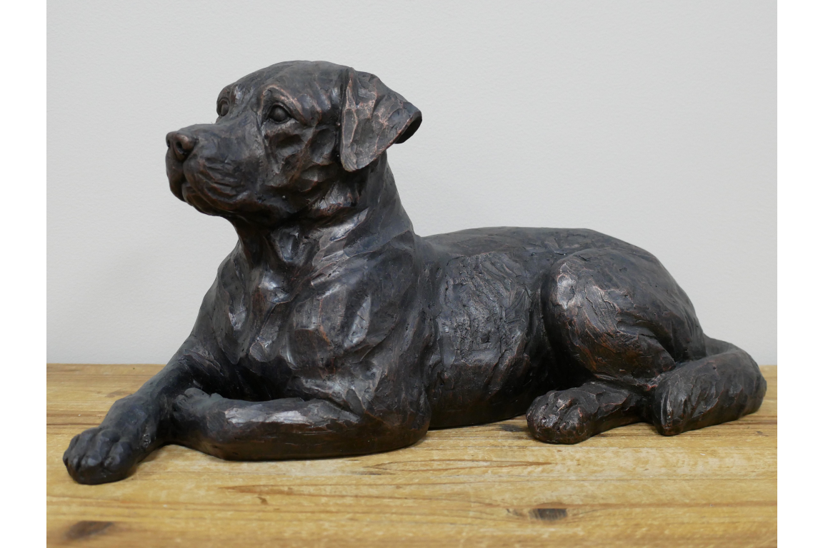 Laying Dog