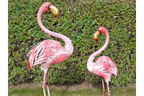 Flamingo - Small