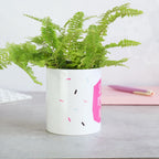 Soiled Myself Again Plant Pot