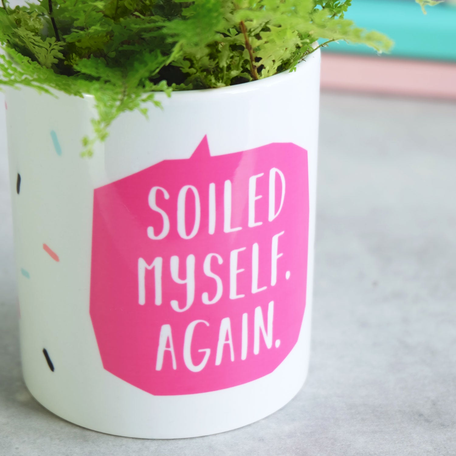Soiled Myself Again Plant Pot