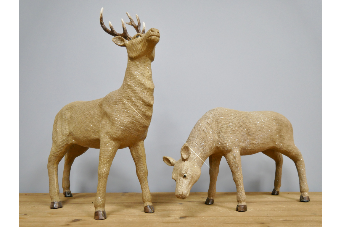 Deer