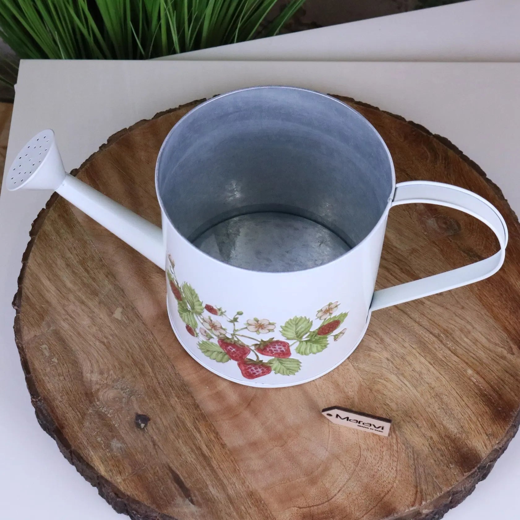 Thaniya Strawberry Field Watering Can Planter