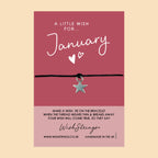 January Birth Bracelet – Personalized Wish Bracelet With Gift Card | Zodiac Birthday Gift