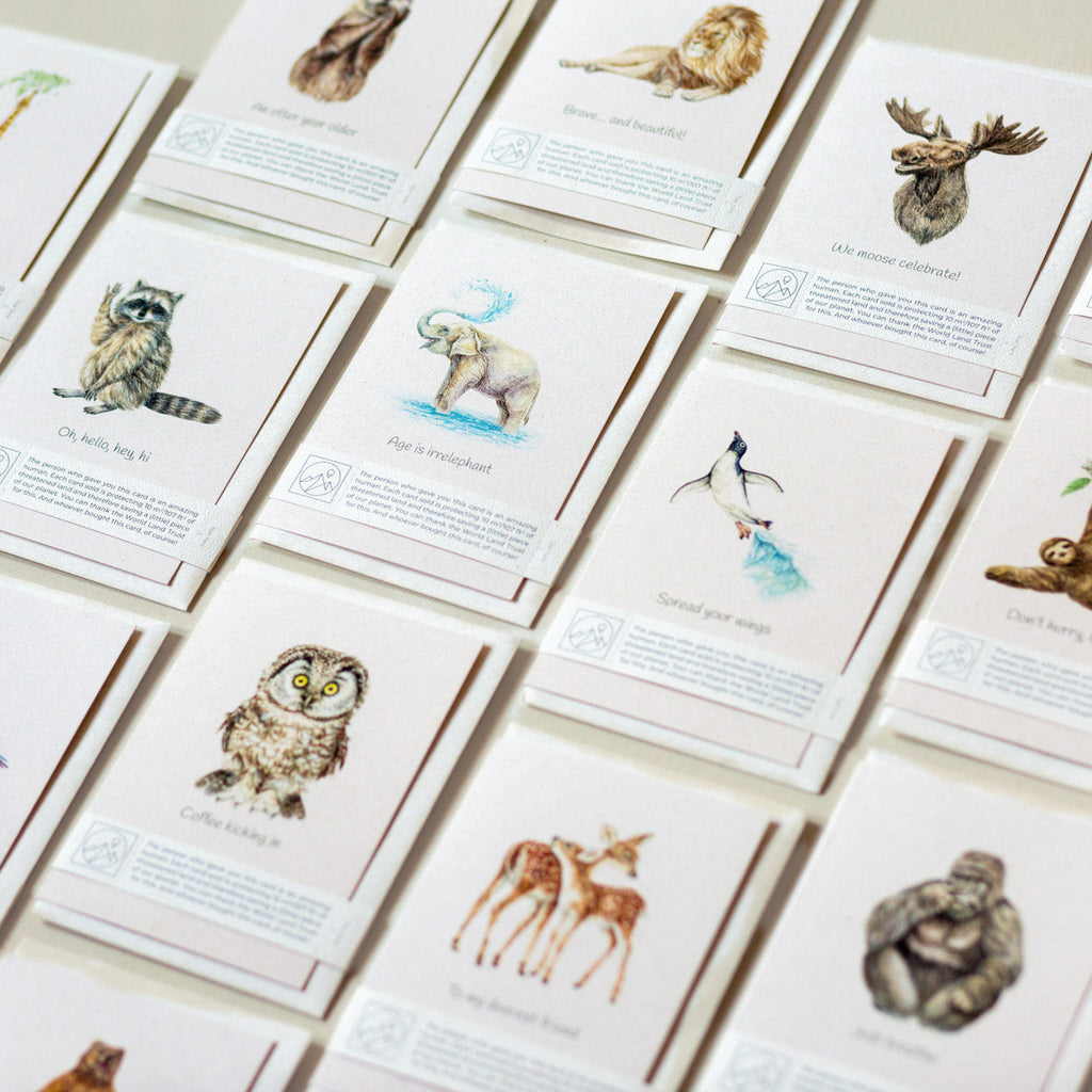Animal Lover Charity Greeting Card