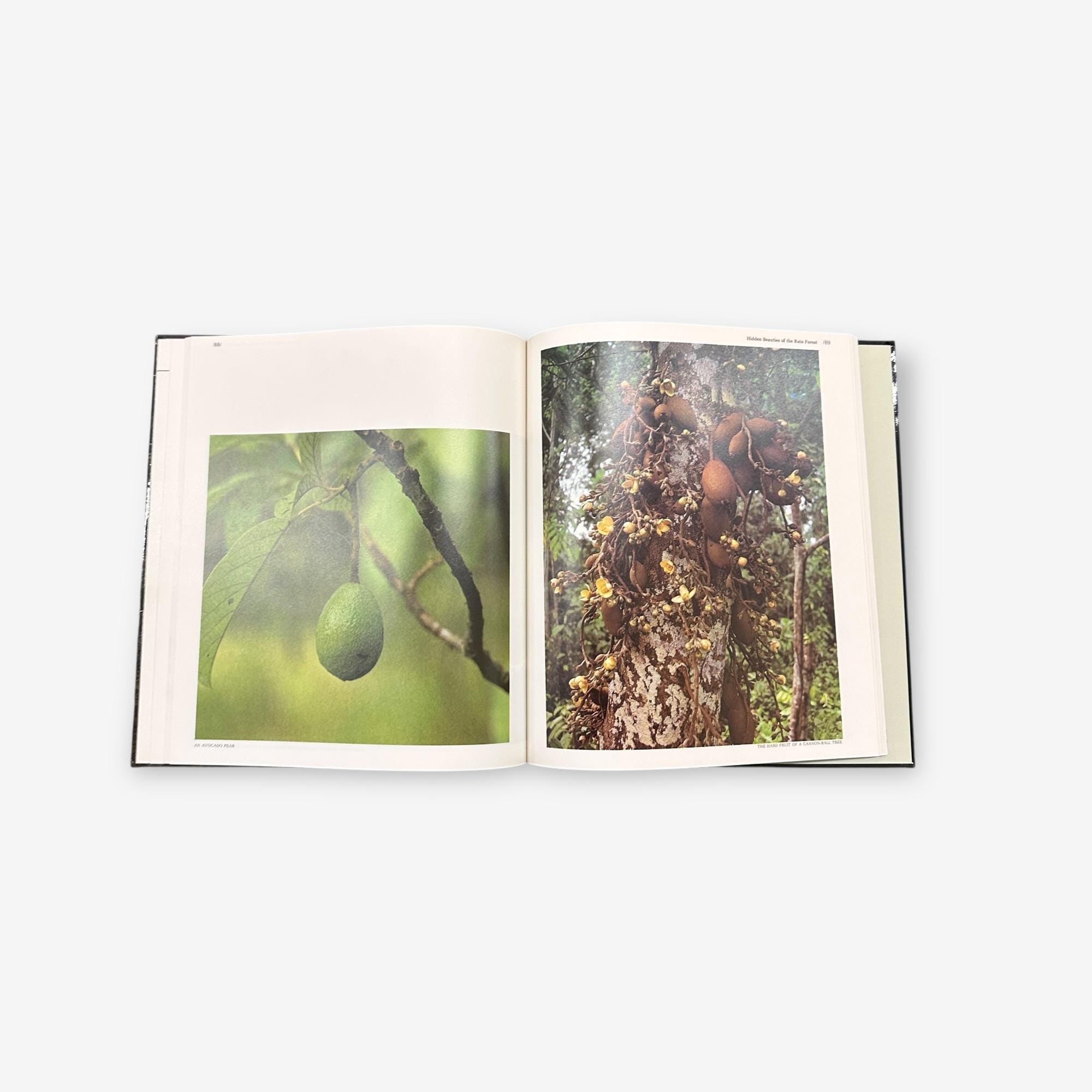 The Amazon - The World's Wild Places - Hardback Book (Tom Sterling) 1973