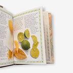 Sweet Flavourings - Their Use In Sweet And Savoury Dishes Little Library Pocket Hardback Book (Jill
