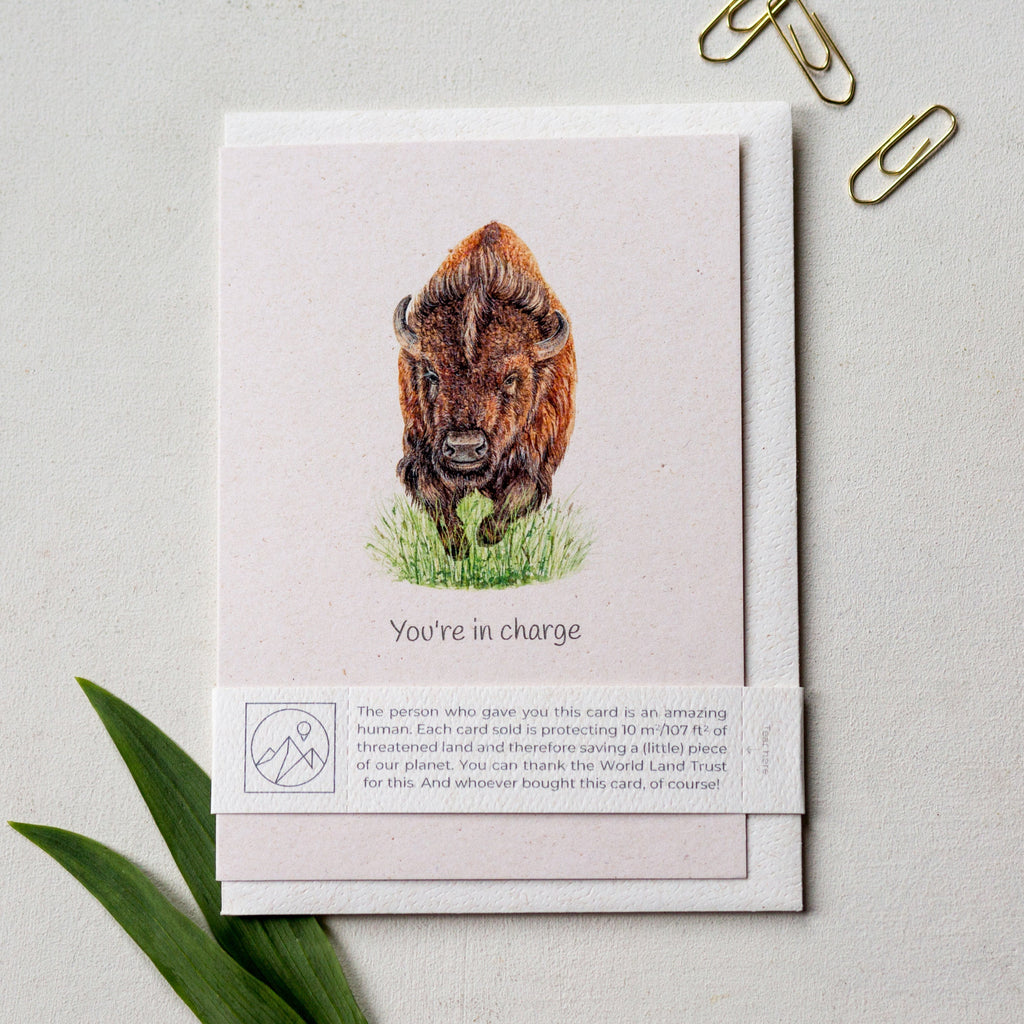 Animal Lover Charity Greeting Card Bison 'You're in charge' card