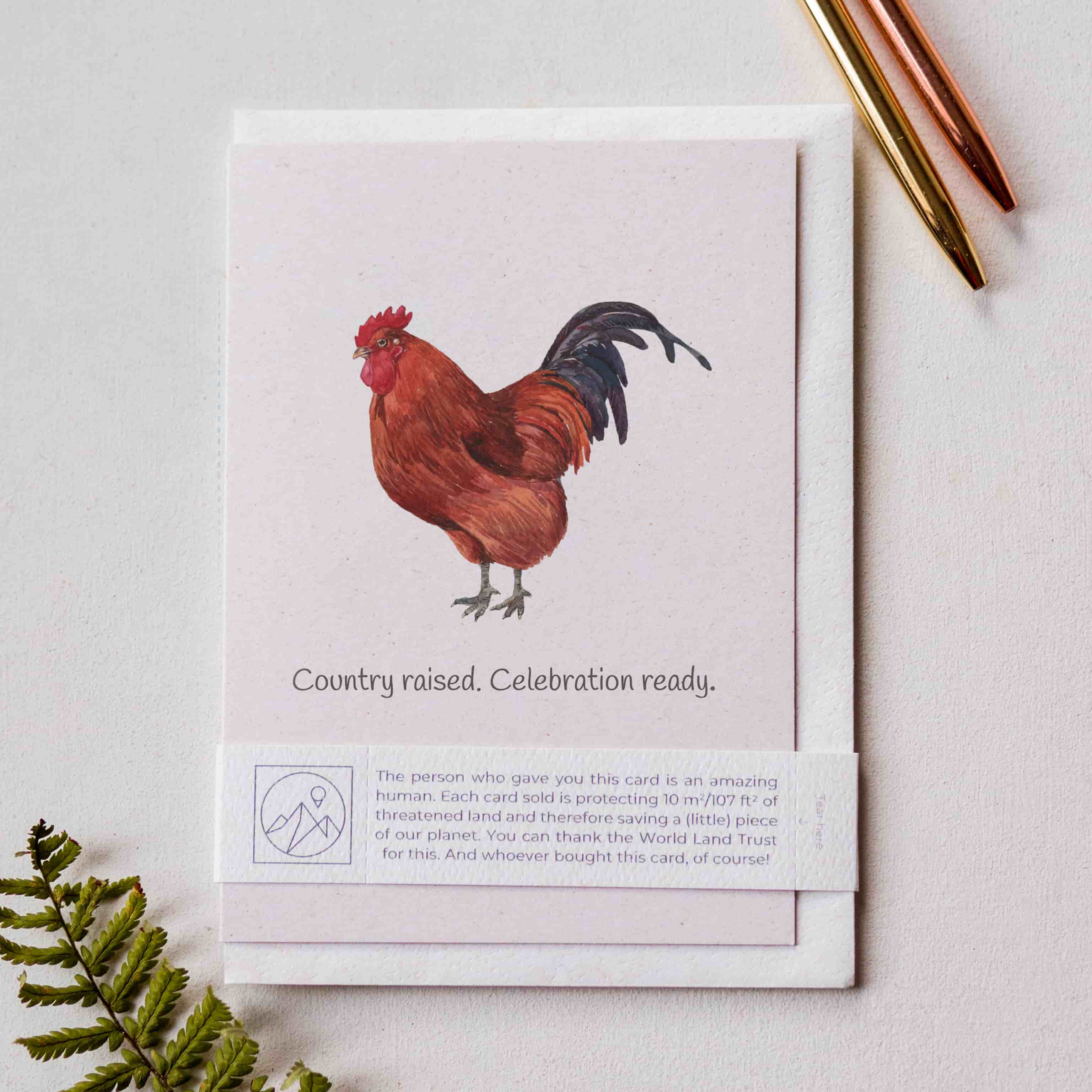 Animal Lover Charity Greeting Card Funny chicken celebration card