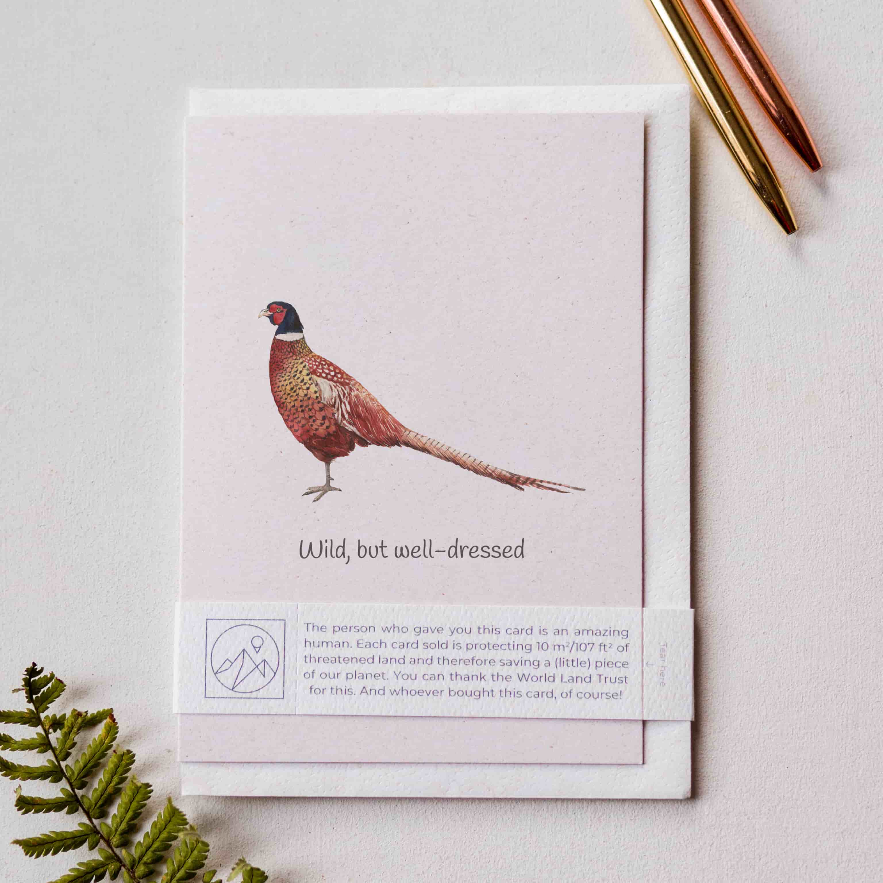 Animal Lover Charity Greeting Card Cute pheasant birthday card
