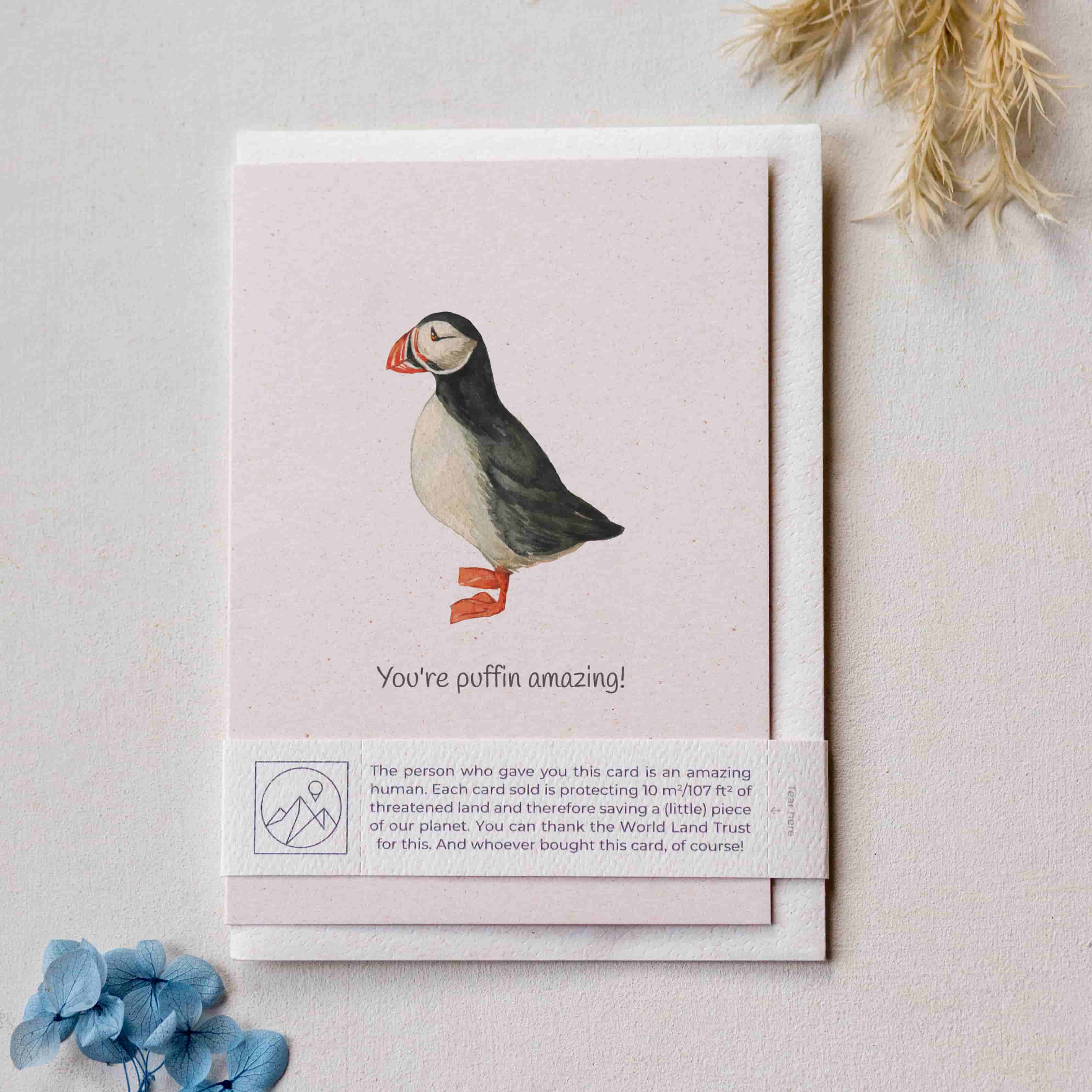 Animal Lover Charity Greeting Card 'You're puffin amazing' card