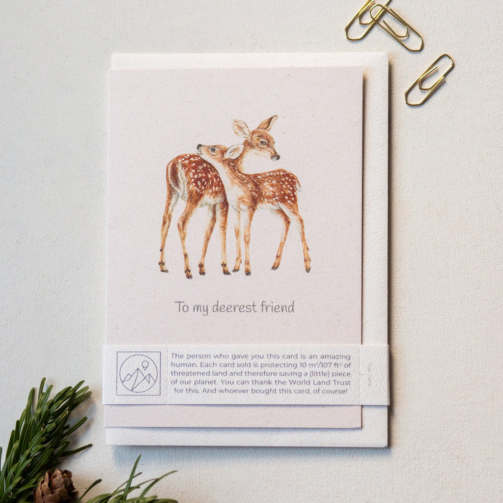 Animal Lover Charity Greeting Card Deer Friendship card
