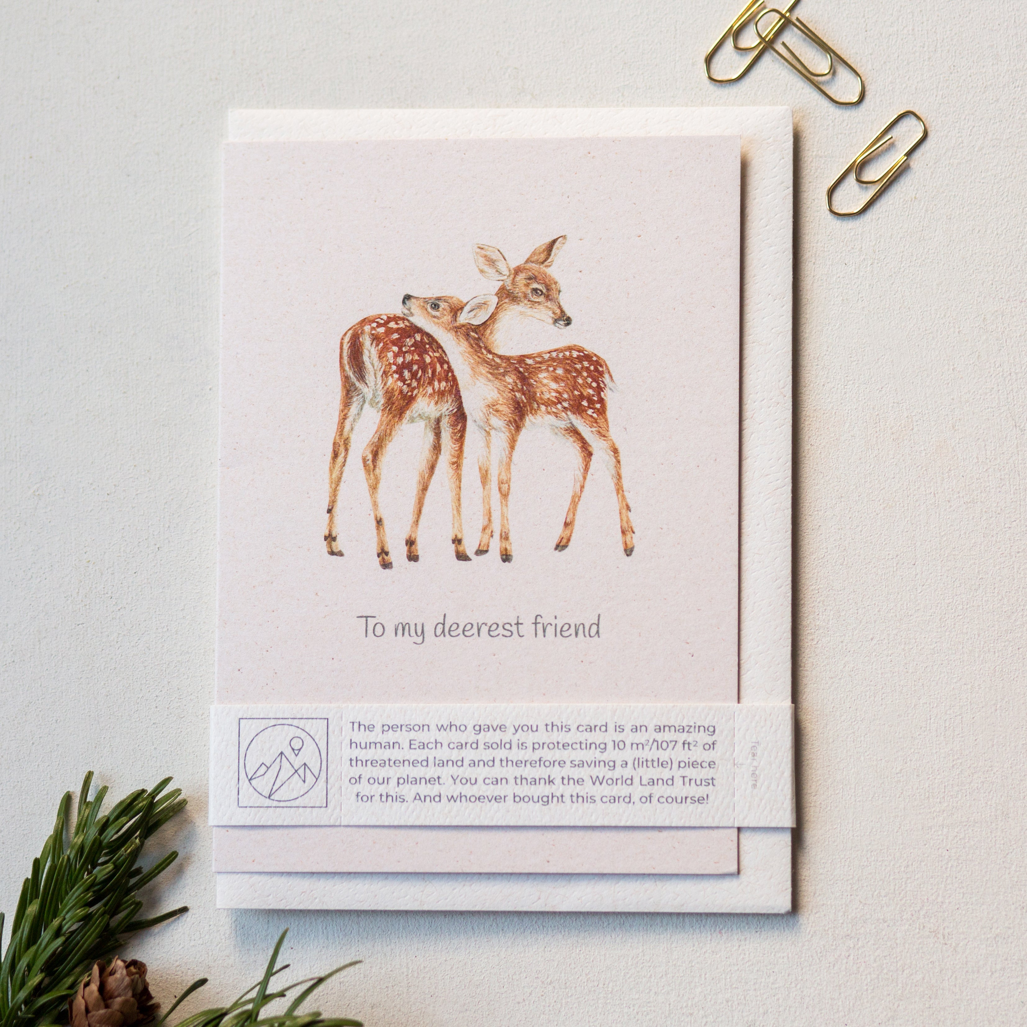 Animal Lover Charity Greeting Card