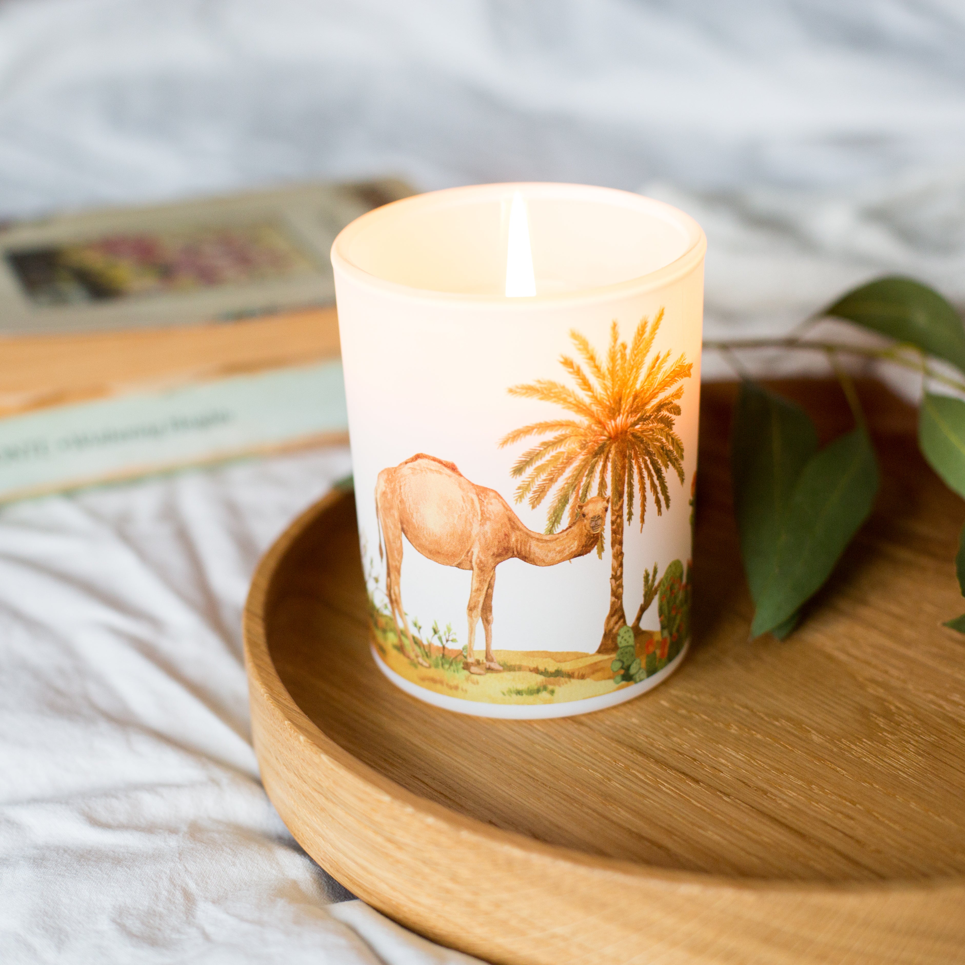 Desert Soy Scented Candle | Warming Cinnamon & Bergamot