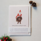 Animal Lover Charity Greeting Card 'Santa paws' Dog Christmas card