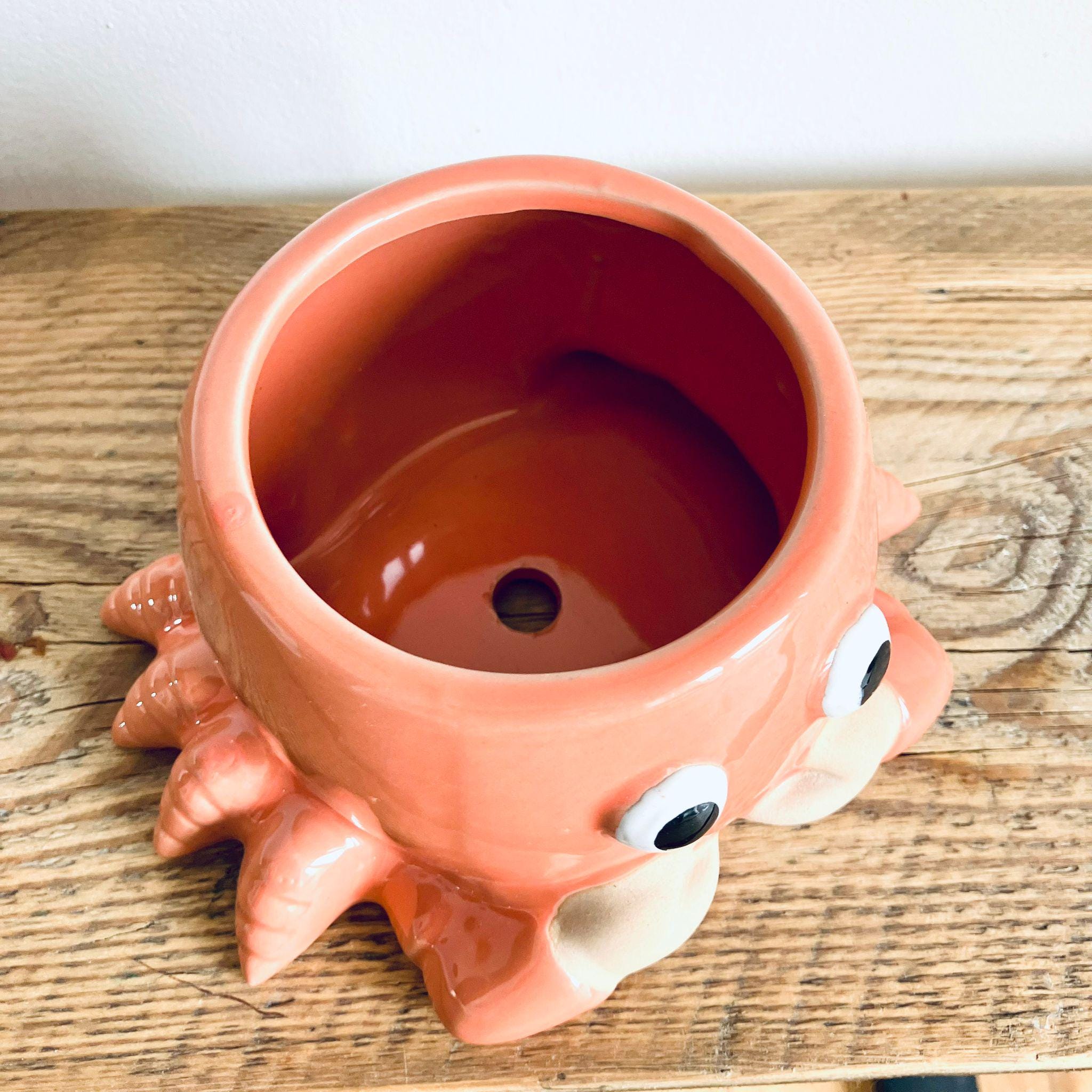 Novelty Orange Crab Planter Garden Plant Pot Unique Homeware Gift 18cm