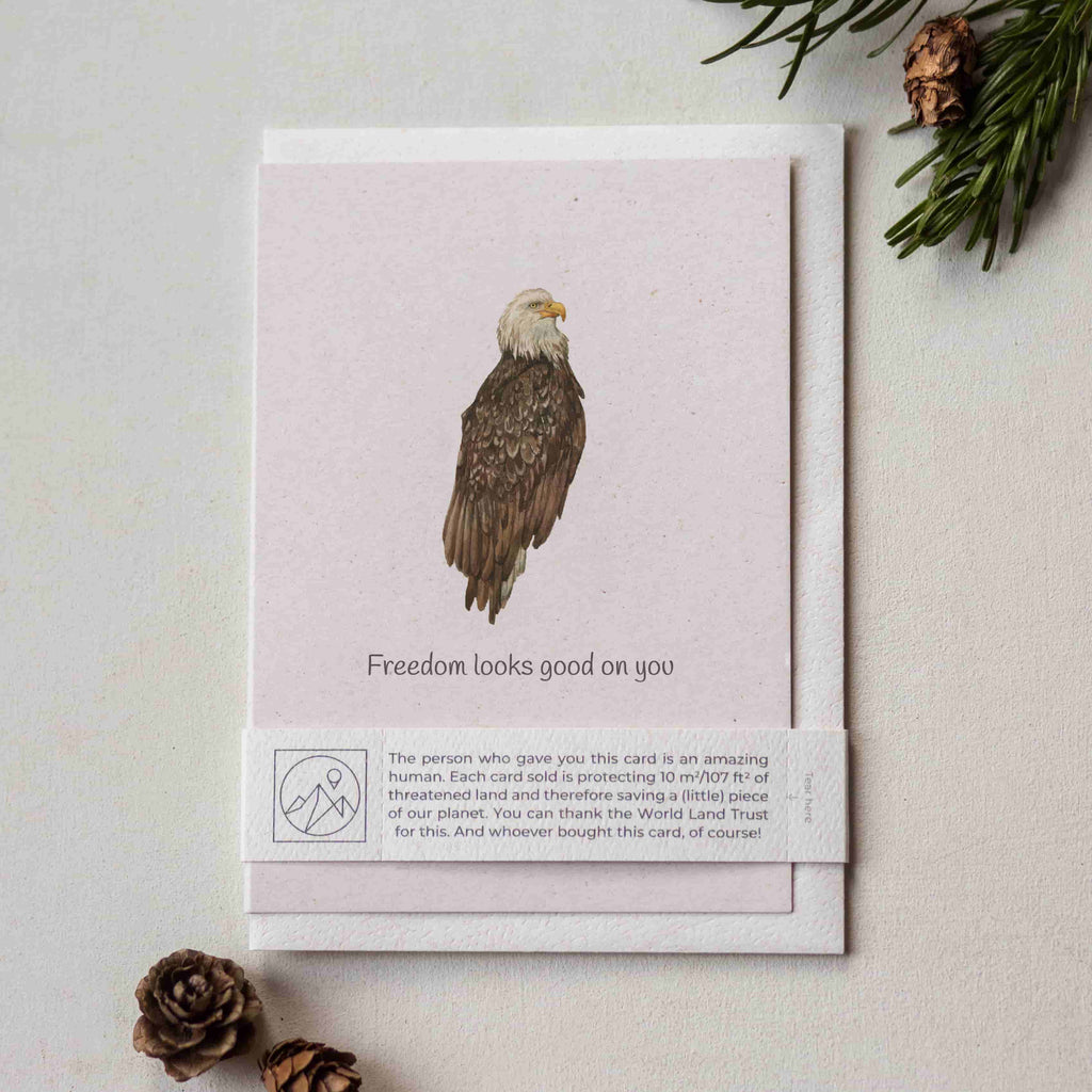 Animal Lover Charity Greeting Card Eagle 'Freedom looks good on you' card