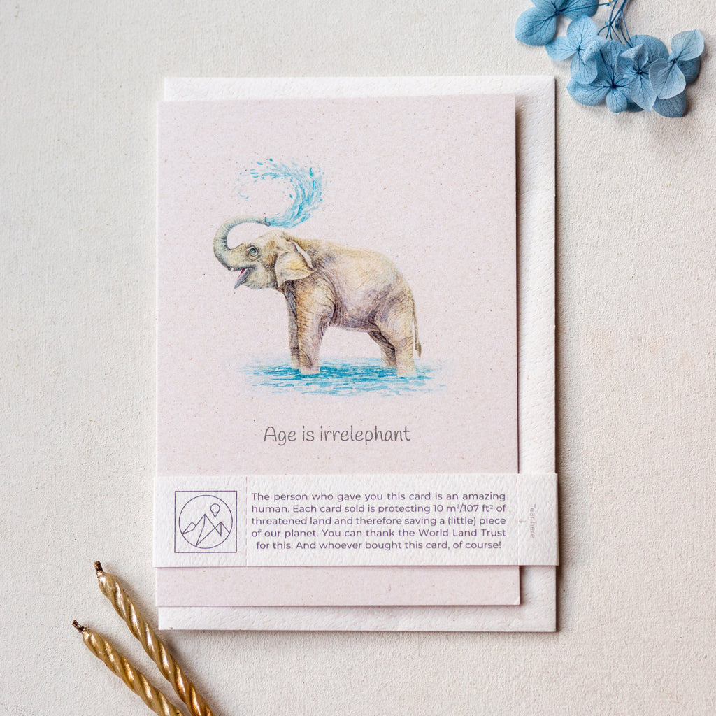 Animal Lover Charity Greeting Card Elephant 'Age is irrelephant' birthday card