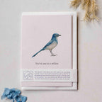 Animal Lover Charity Greeting Card Florida Scrub Jay 'You're one in a million' card