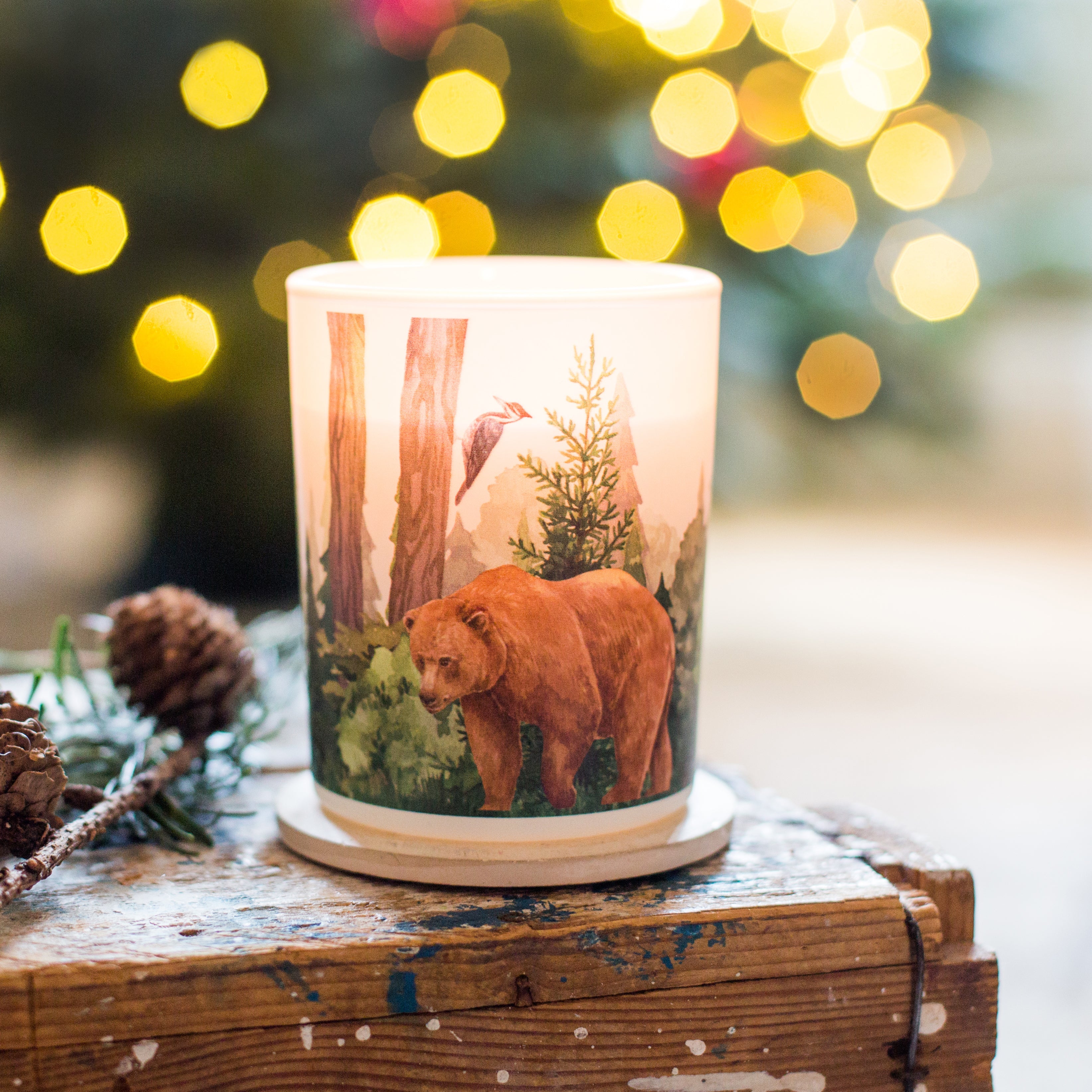 Forest Soy Scented Candle | Balsam Fir & Wild Berries