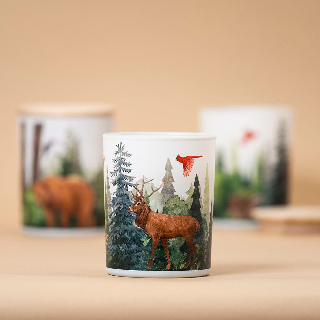Forest Soy Scented Candle | Balsam Fir & Wild Berries