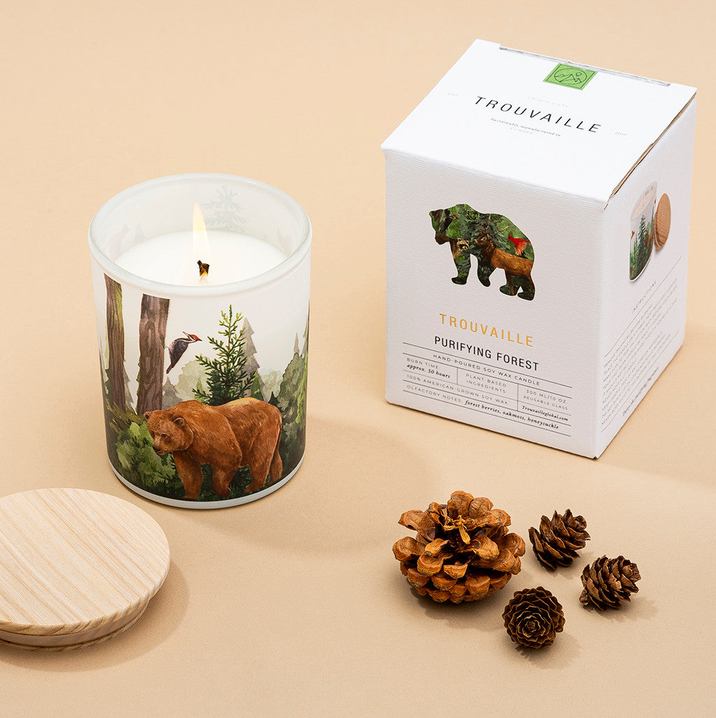 Forest Soy Scented Candle | Balsam Fir & Wild Berries