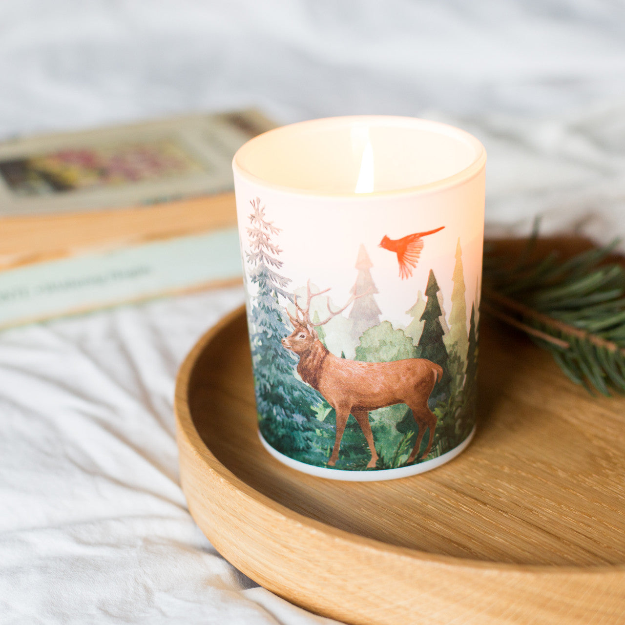 Forest Soy Scented Candle | Balsam Fir & Wild Berries