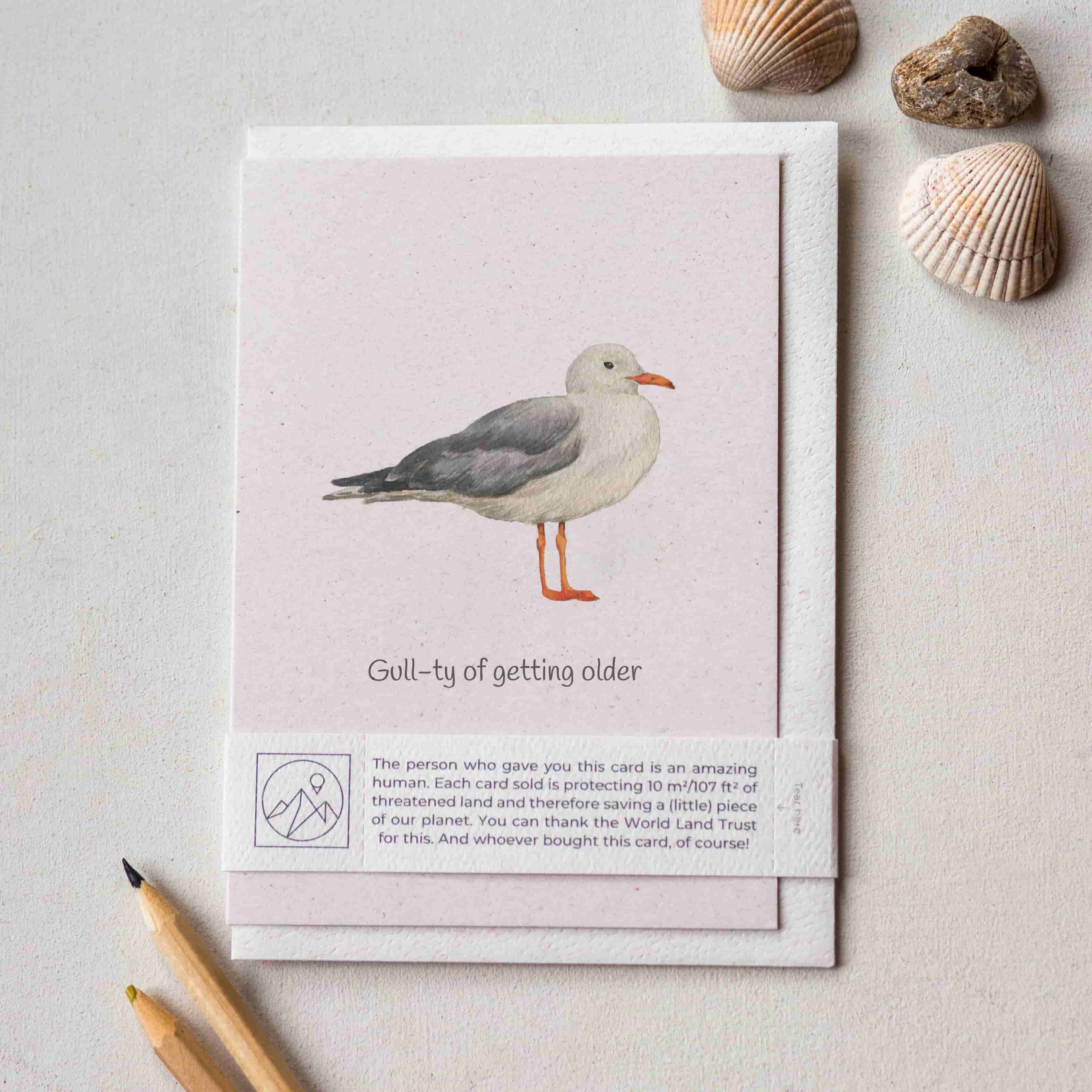 Animal Lover Charity Greeting Card Funny seagull birthday card