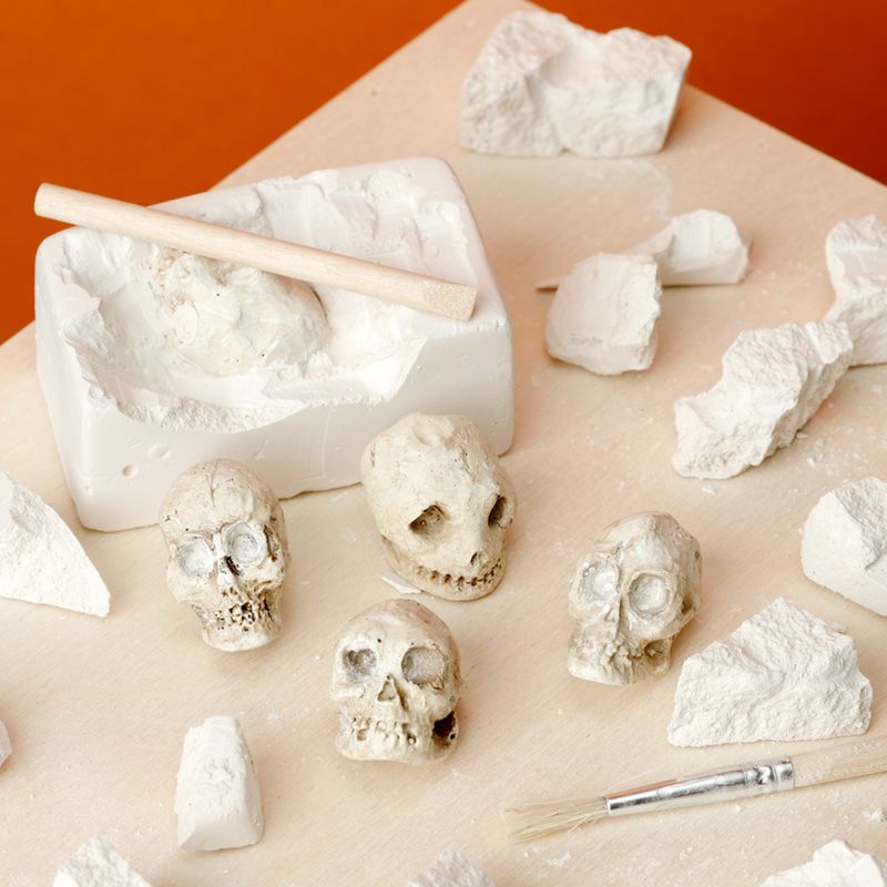 Gothic Gifts Skull Dig It Out Kit