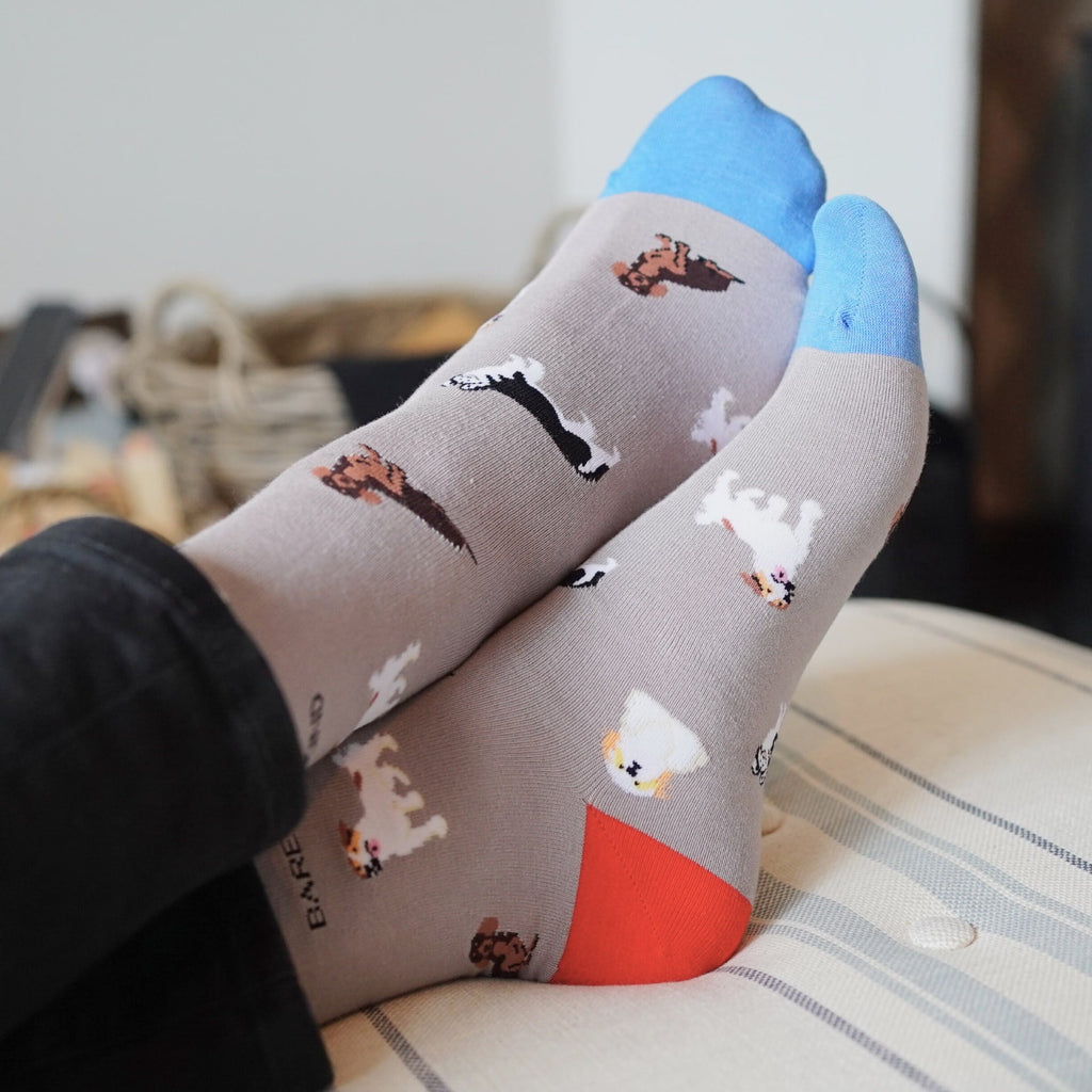 Grey Dog Pet Pair Bamboo Sock Set