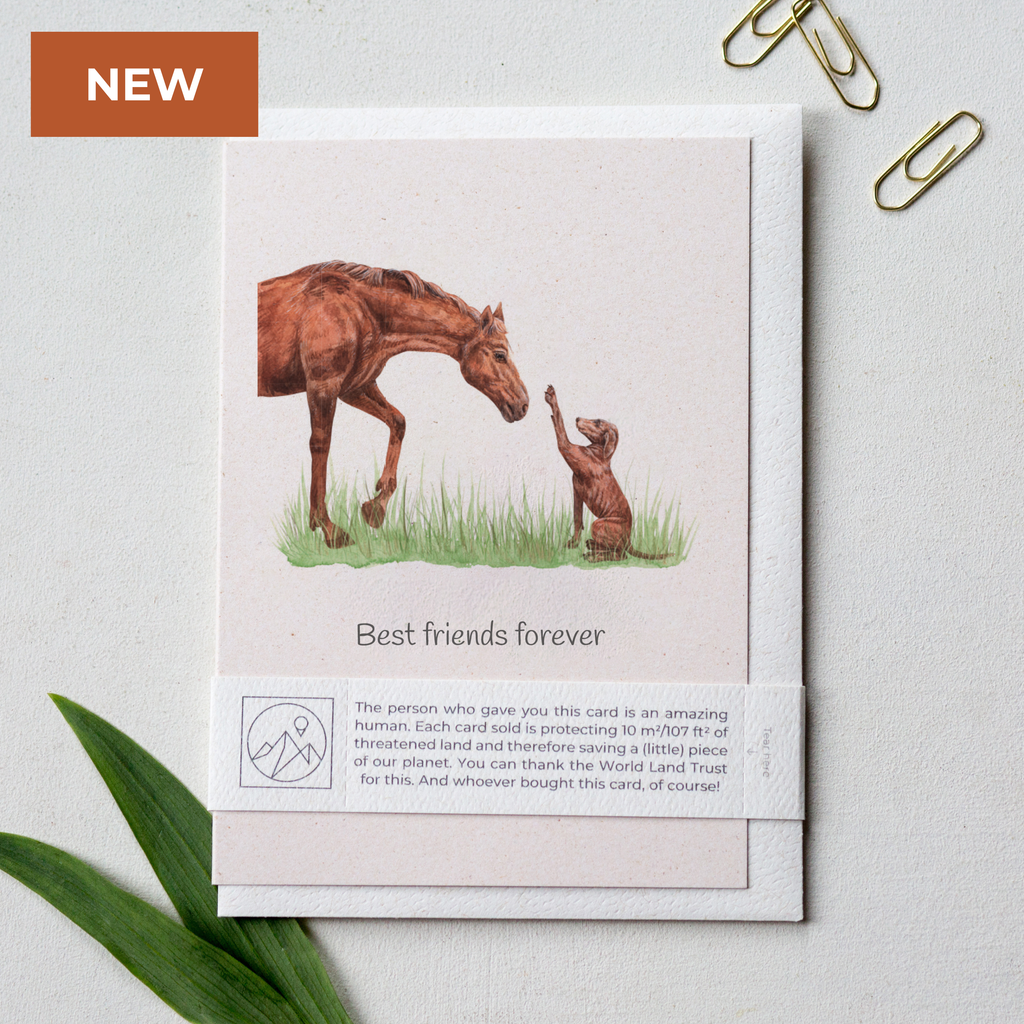 Animal Lover Charity Greeting Card Horse and dog 'Best friends forever' card