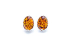 Floral Frame Amber Stud Earrings