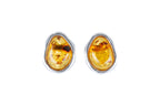 Amber ELEMENTS Stud Earrings