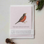 Animal Lover Charity Greeting Card Cute Robin sympathy card