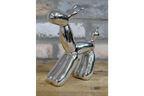 Silver Dog