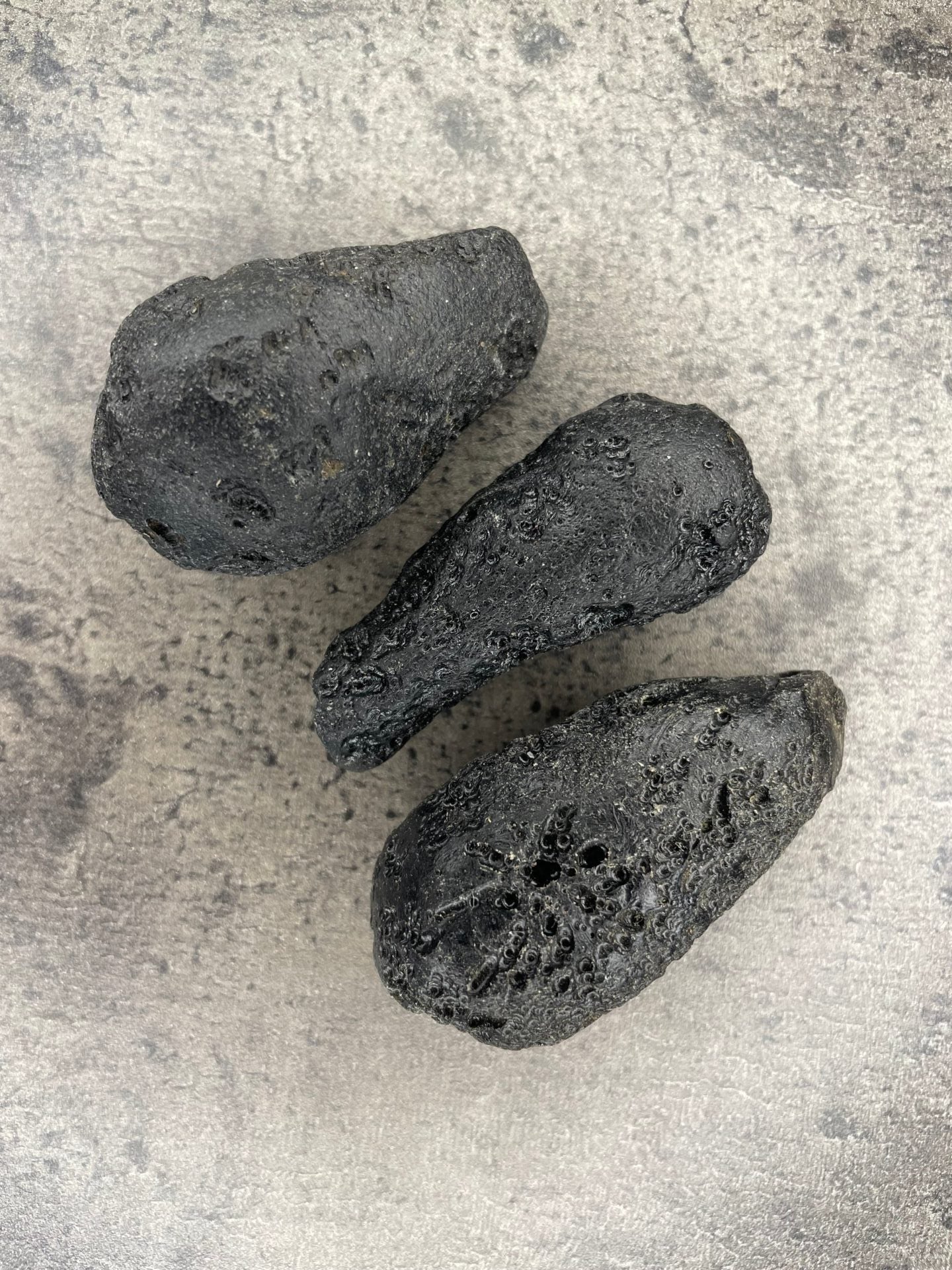 Tektite - Specimen
