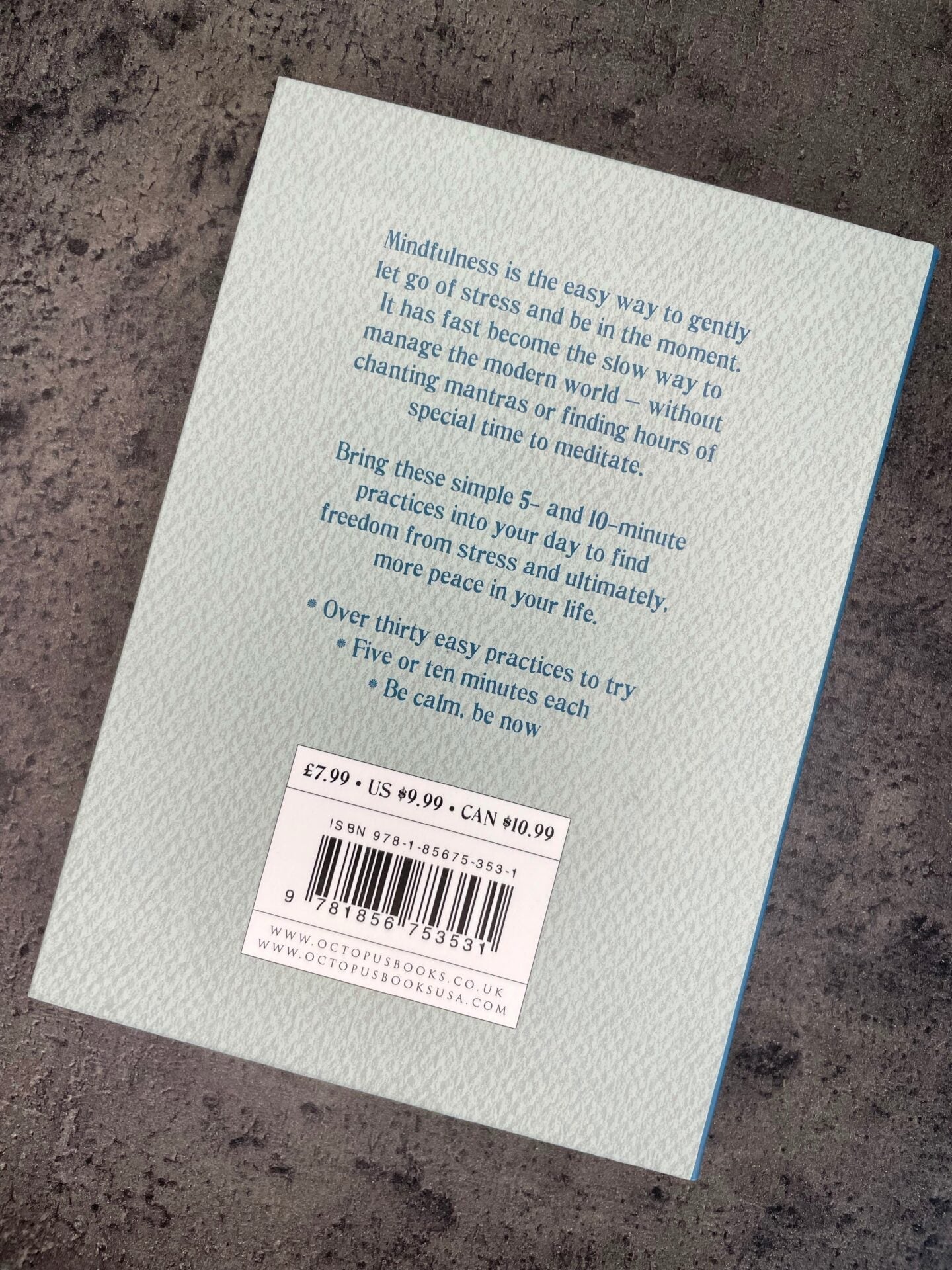 The Little Book of Mindfulness